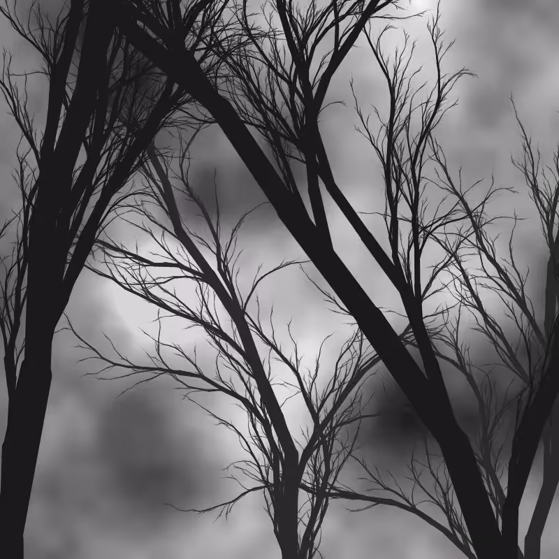 Through the night #1