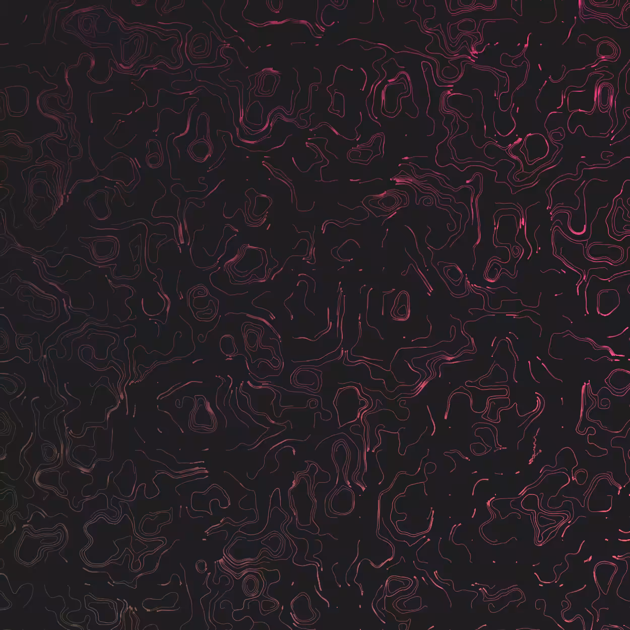 Topographic Lines #24
