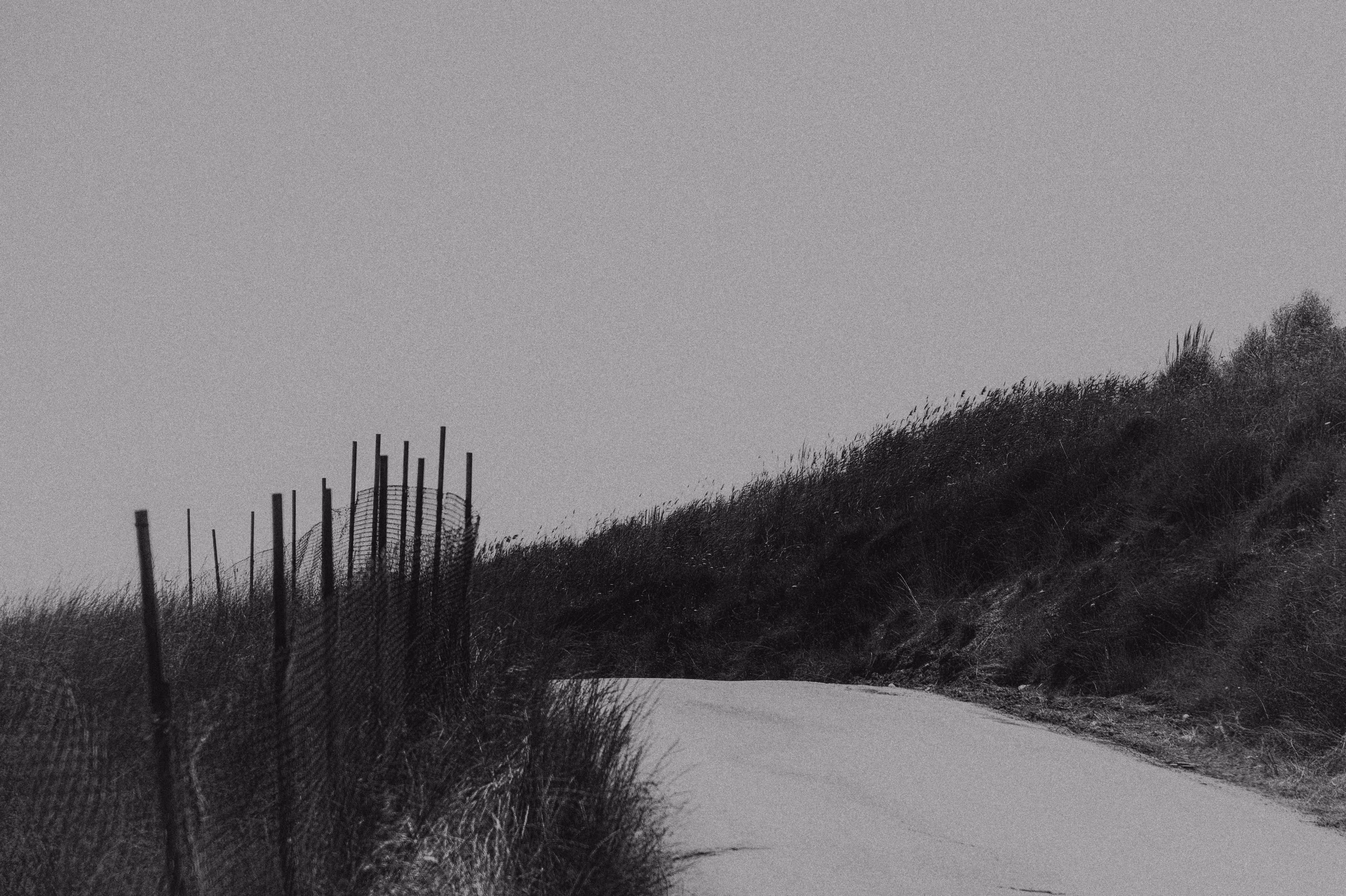 Monochrome Tranquility