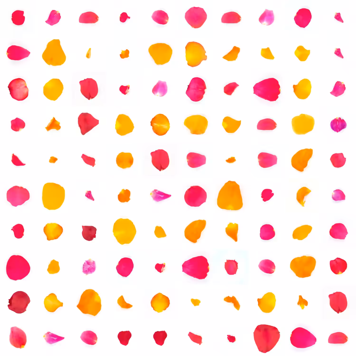 Infinite Petals 10x10#407
