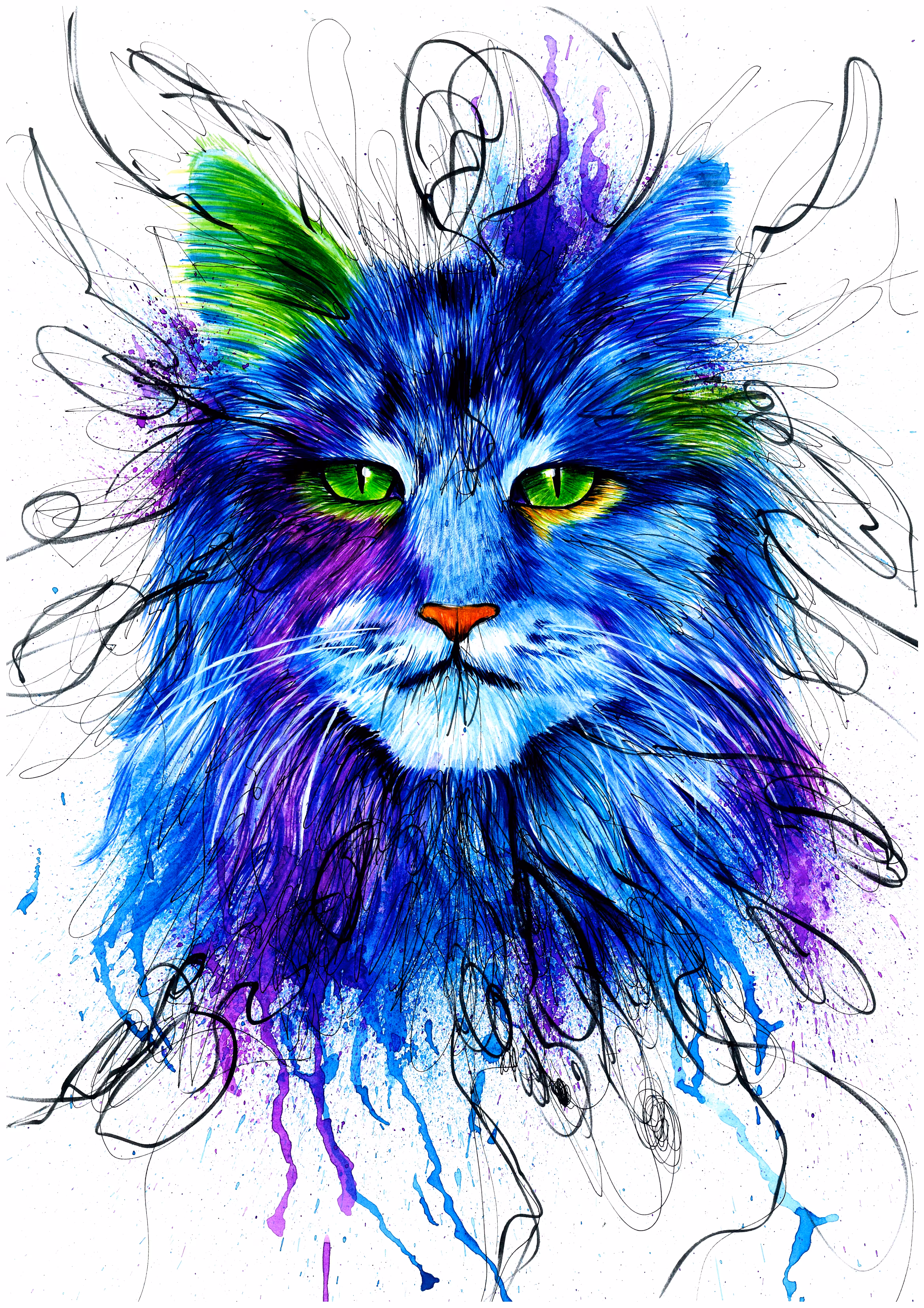 the Cat