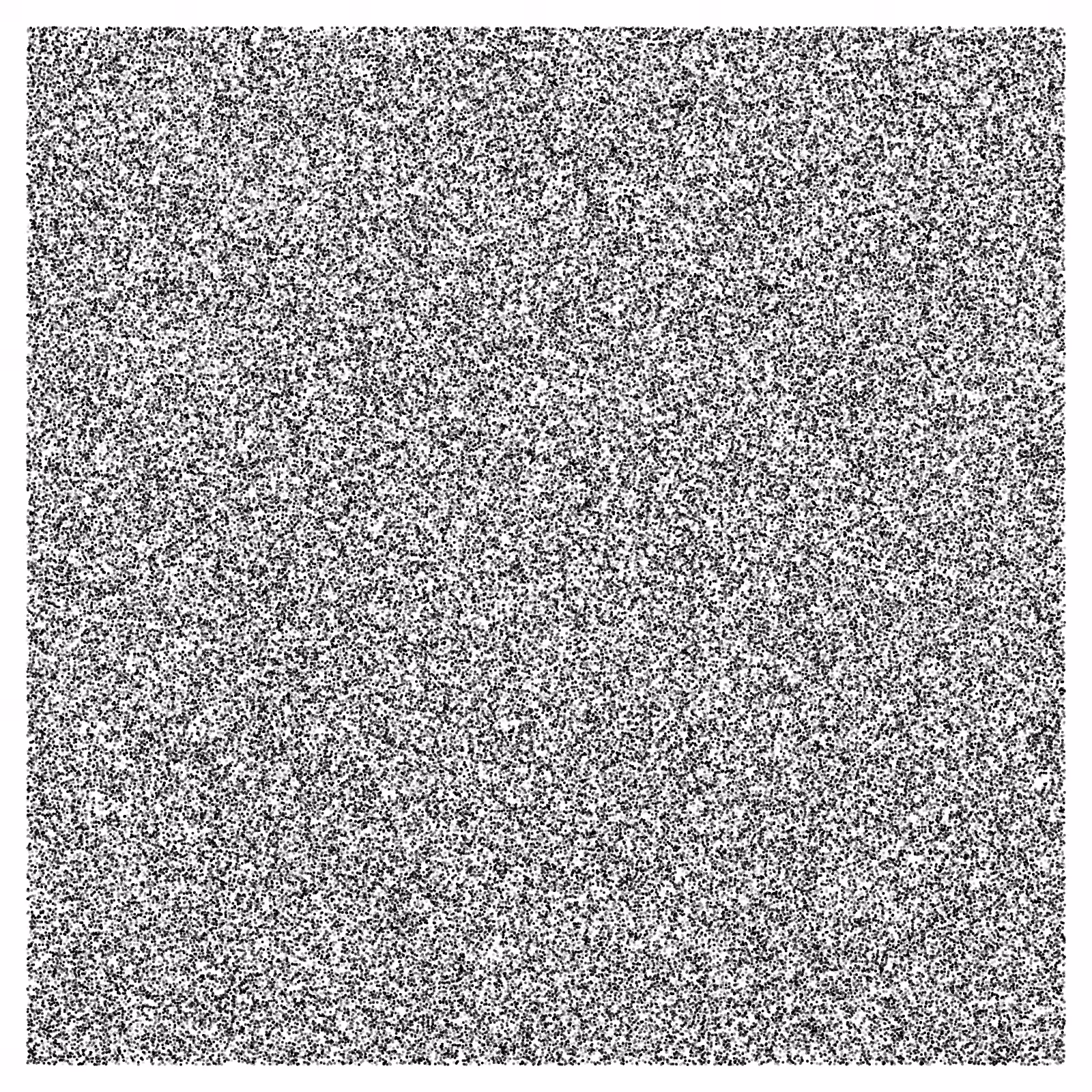Noise #58