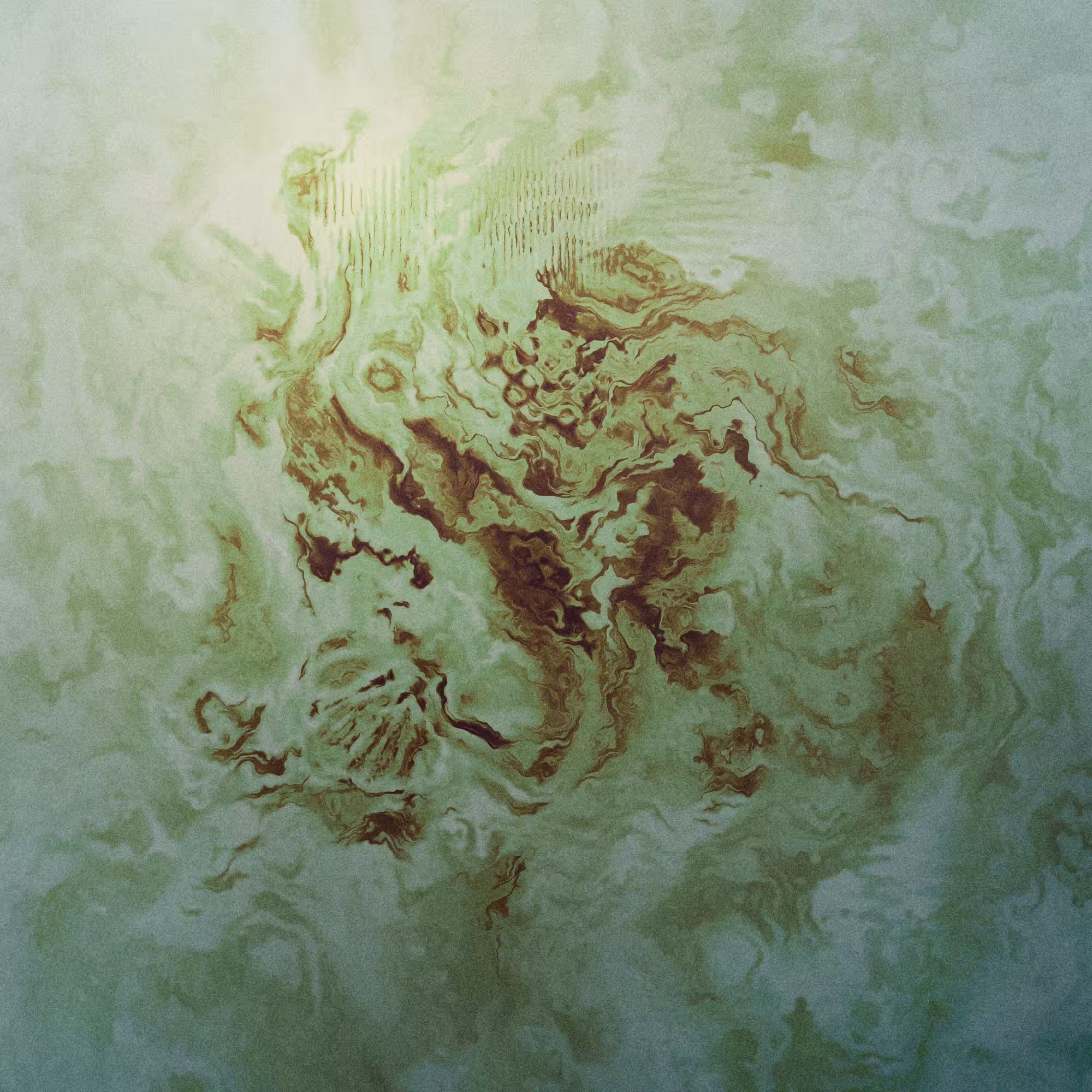 Fossilium #71