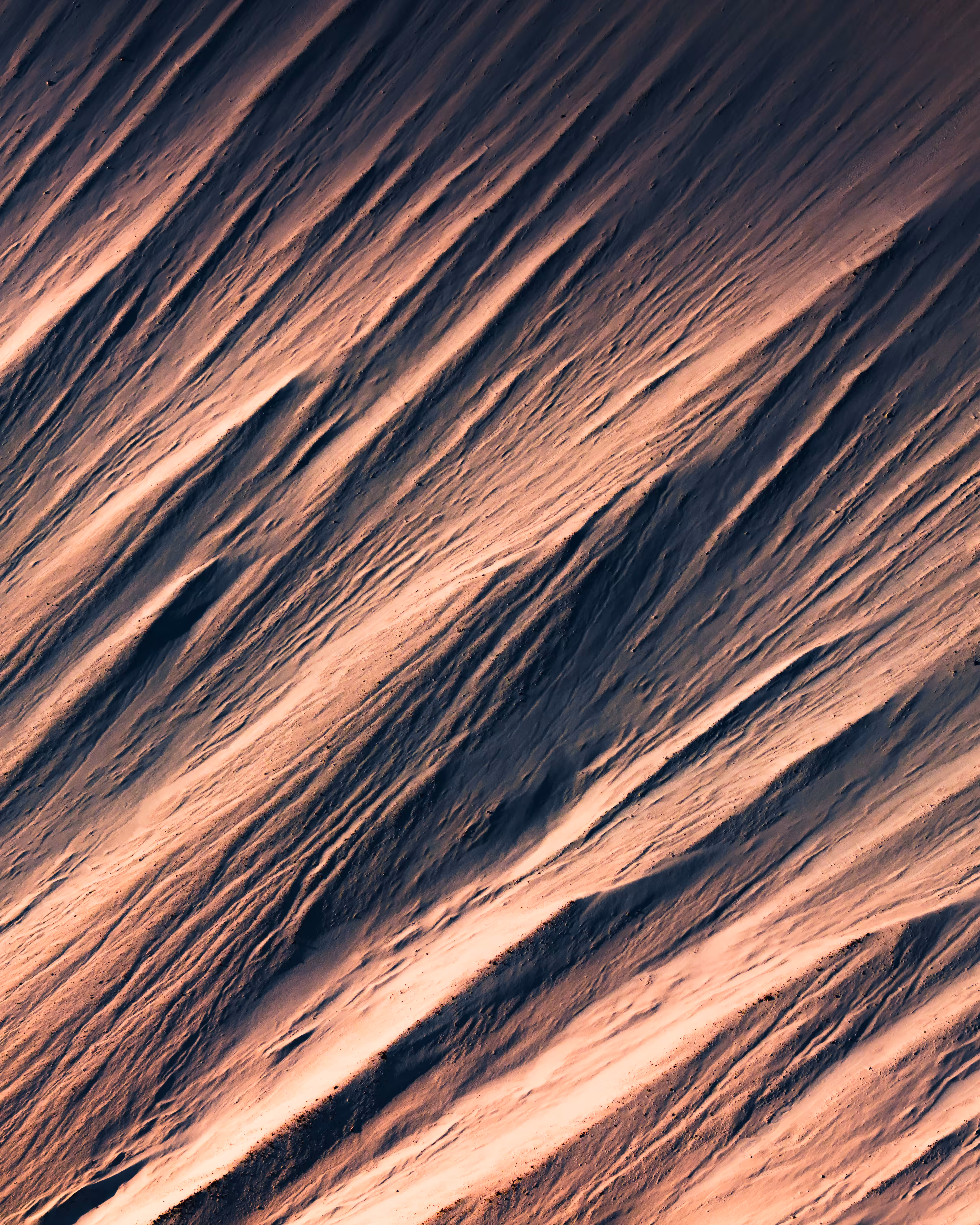 The First Light III