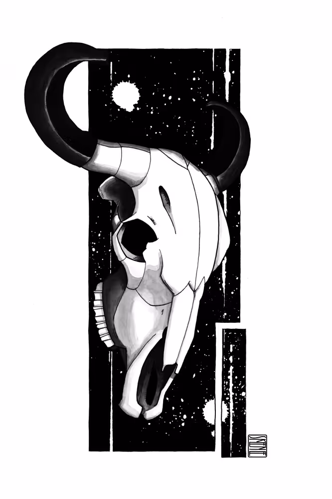 Buffalo Skull Study