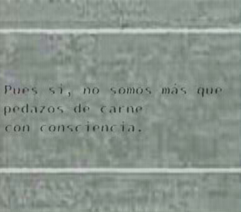 Carne