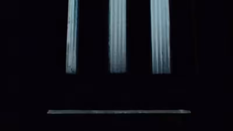 DX01: SINGULARITY 40238