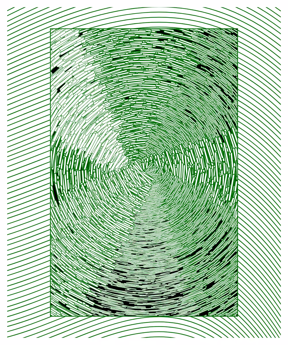 Daily experiments 08.02.2024 #10