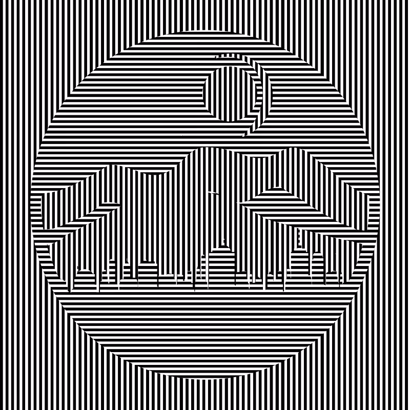 illusion #3
