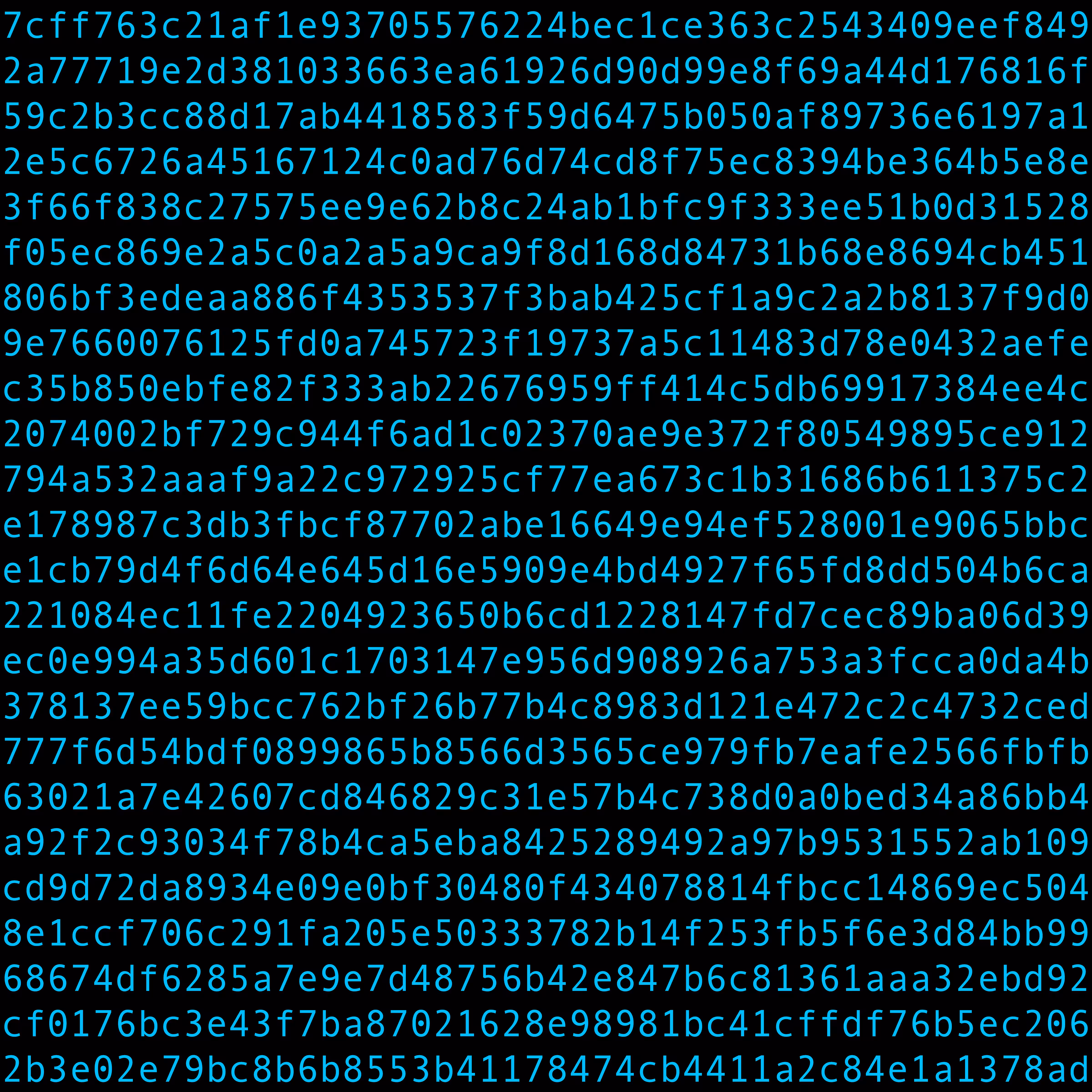 1111 #0300