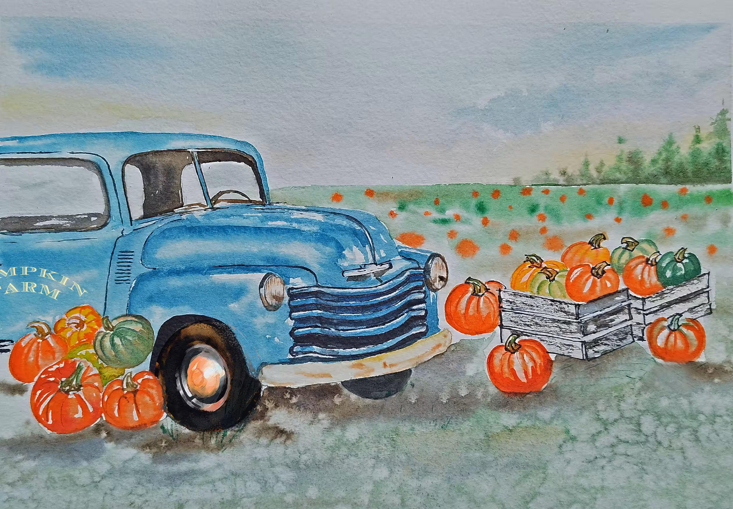 Pumpkin farm