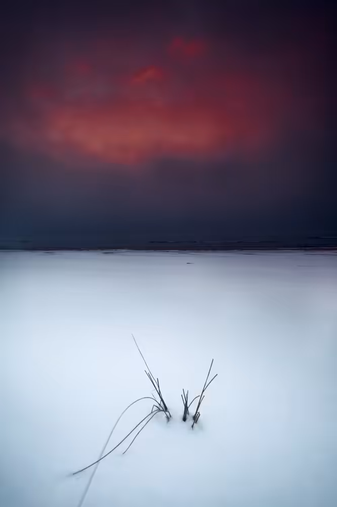 The Bloody Fog