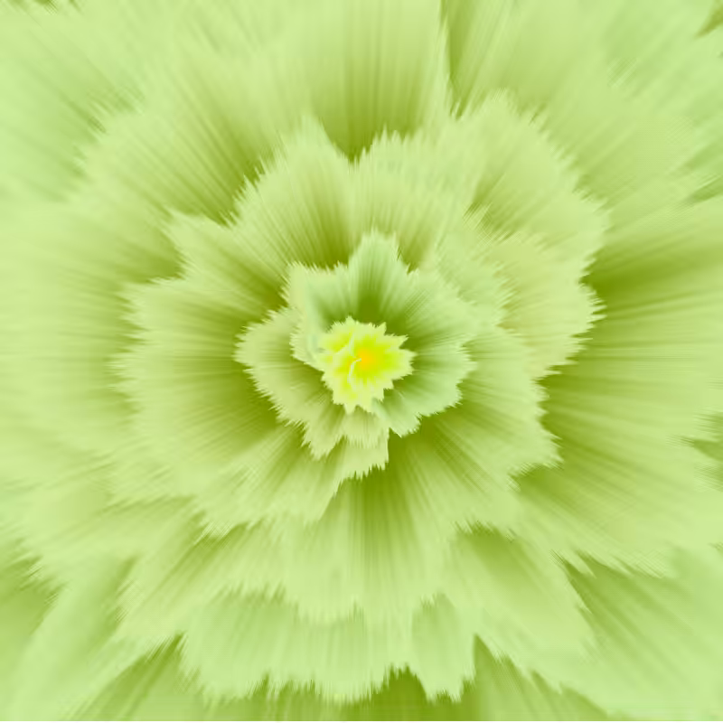 Color blast #33