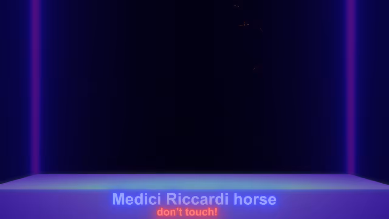 Medici riccardi horse 