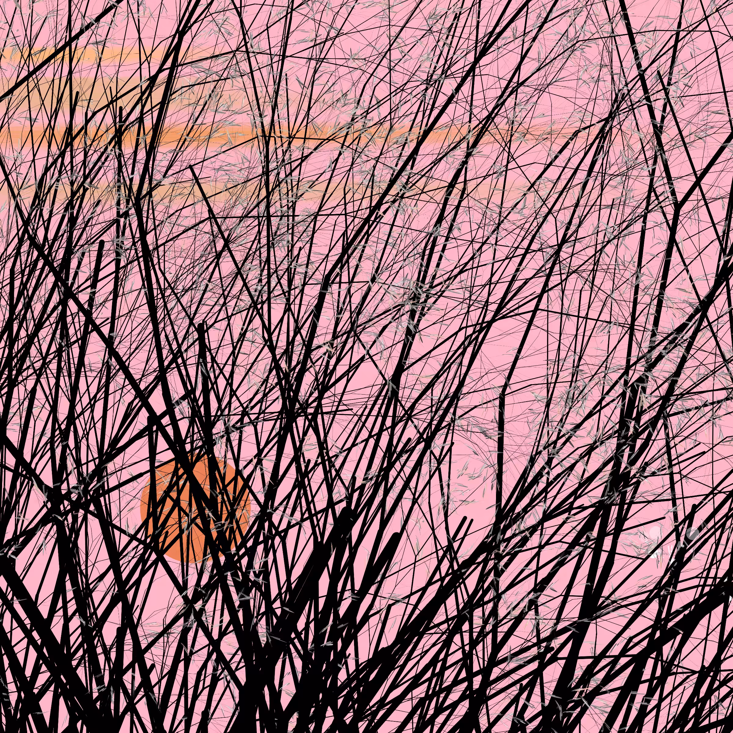 conversation with the wind #487