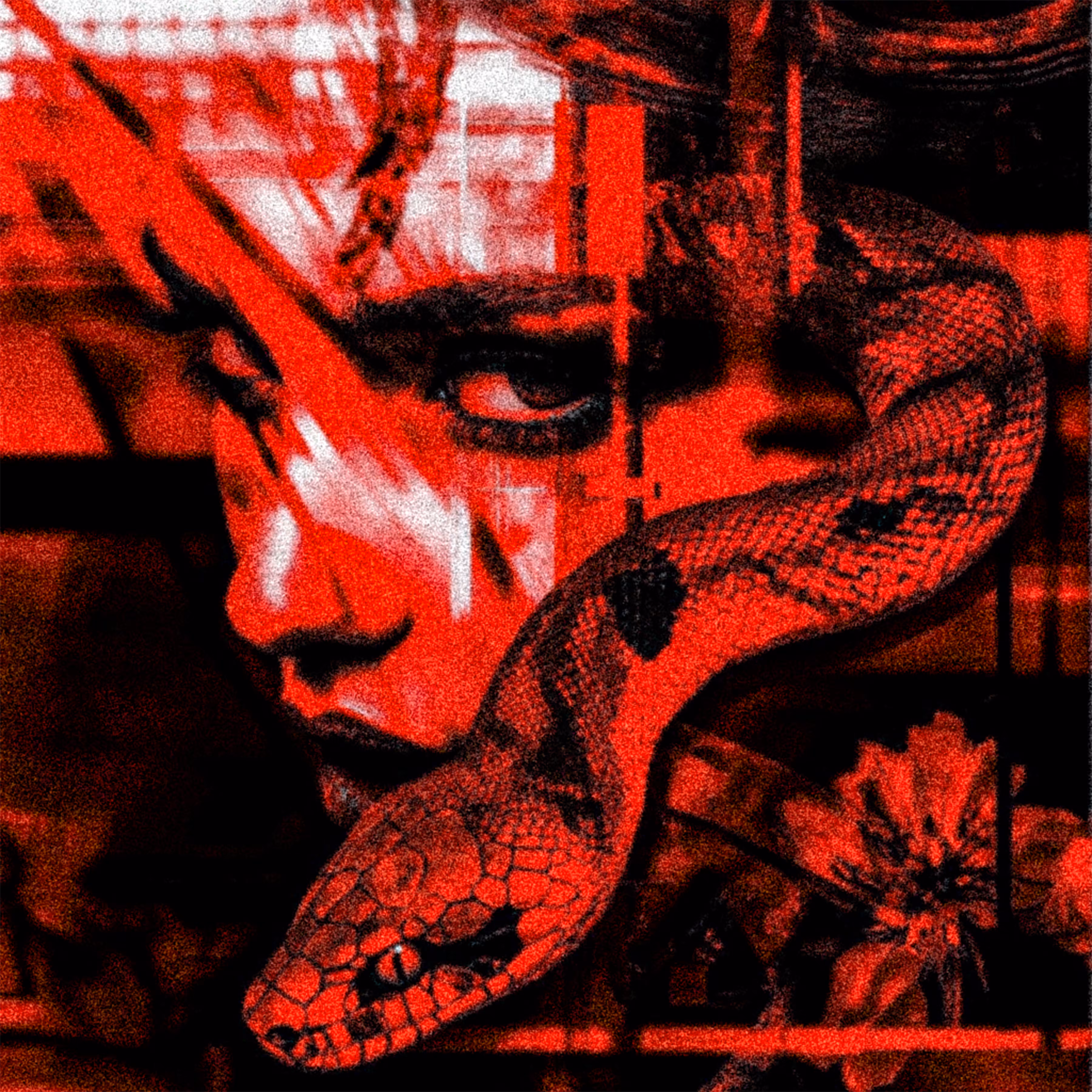 “Beneath the Skin of Code”