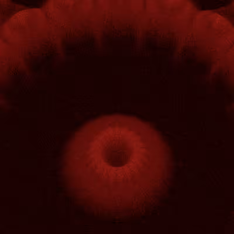 Bloom #11