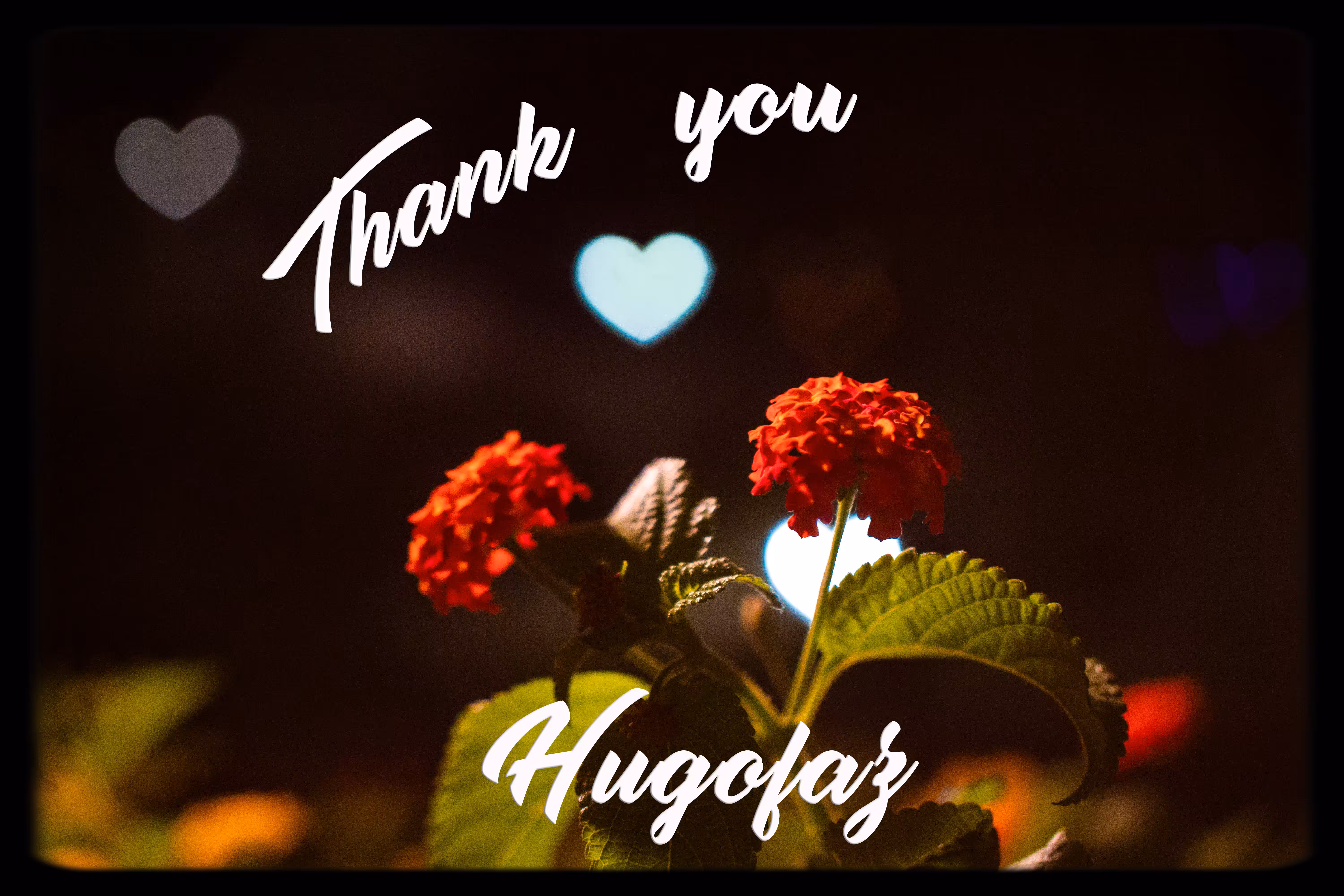 Thank You Hugofaz