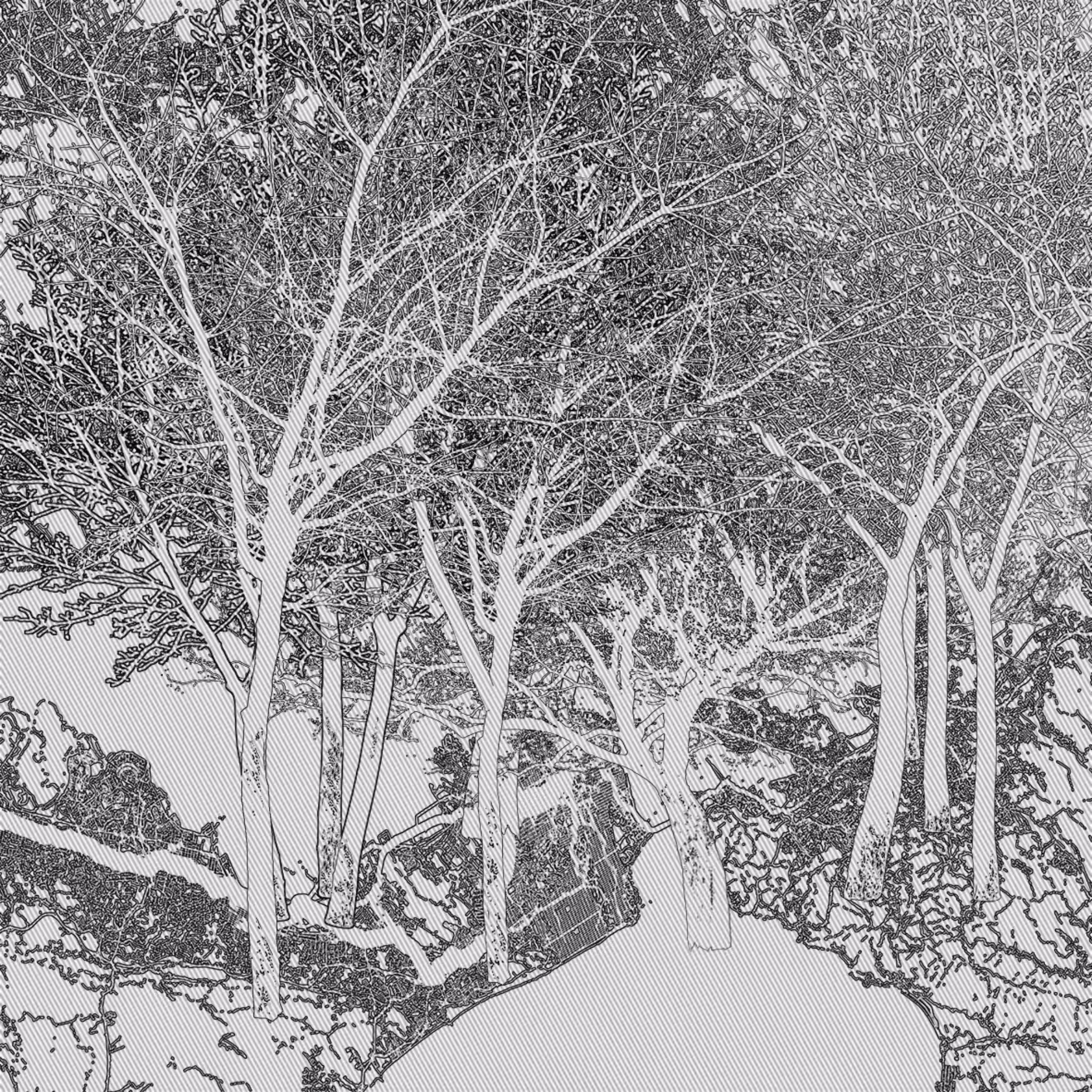 The Forest #19