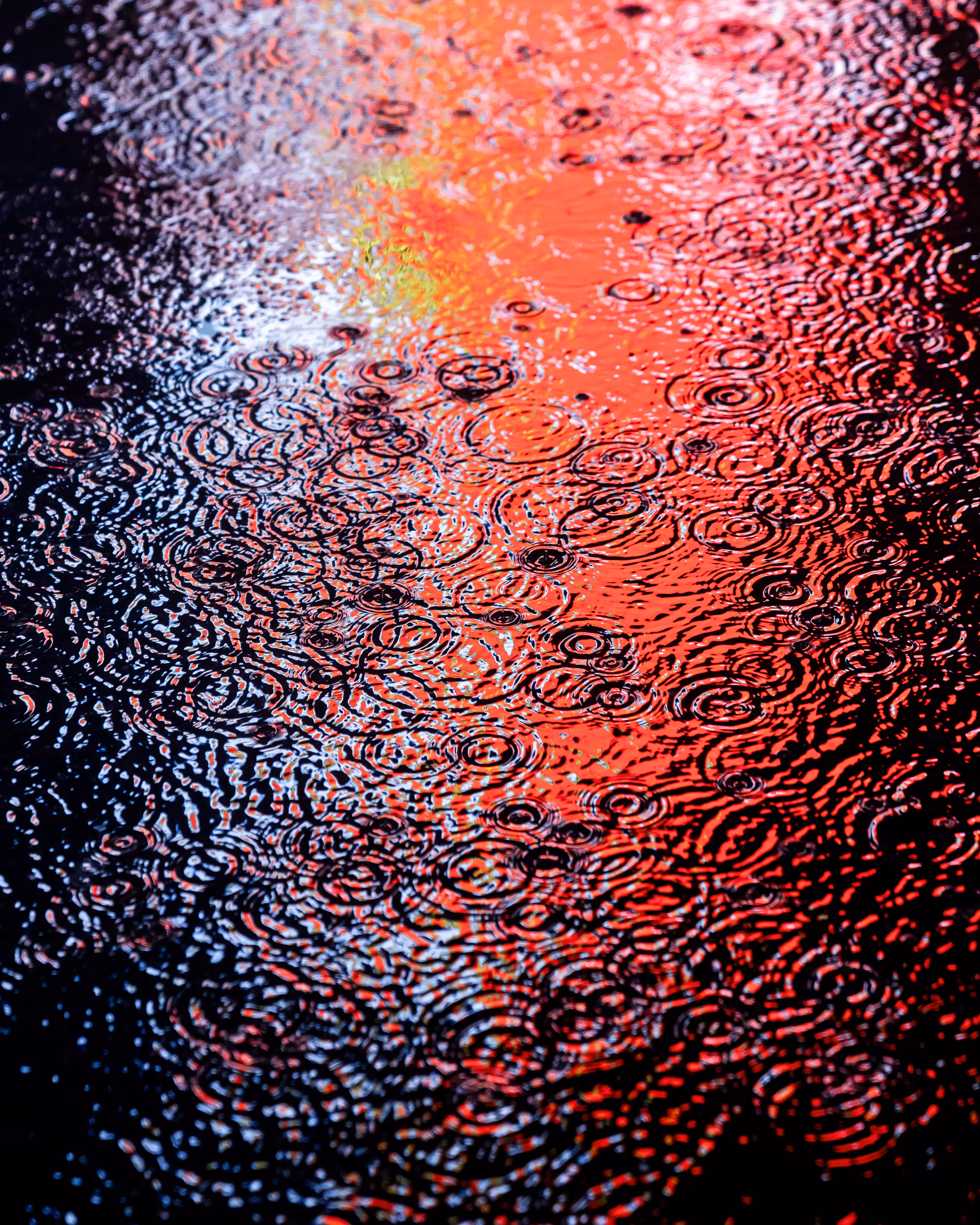 DRIP DROP: DRIP #813