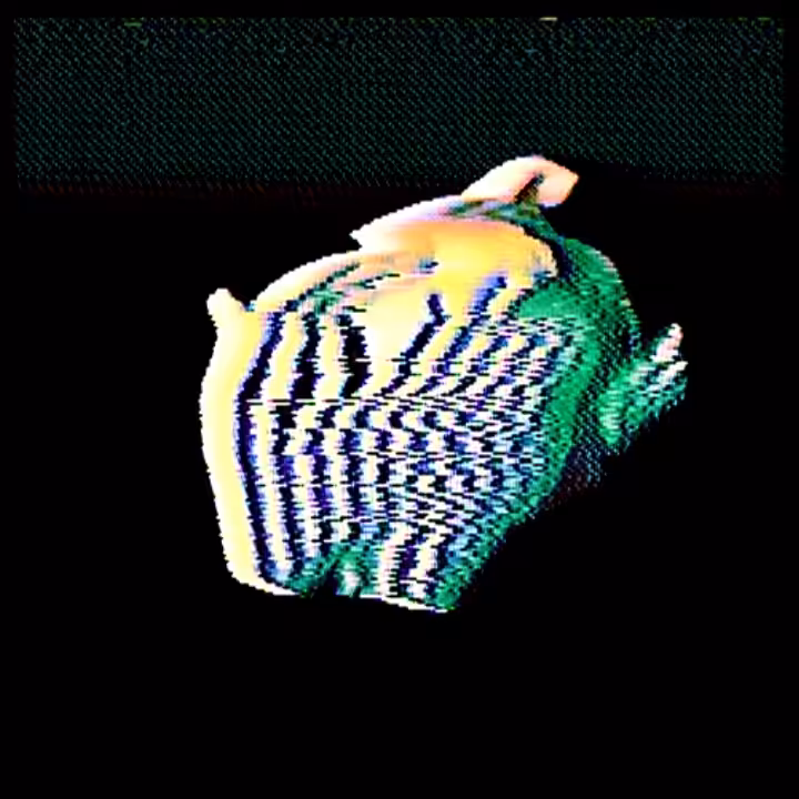 RUBBER SWINE