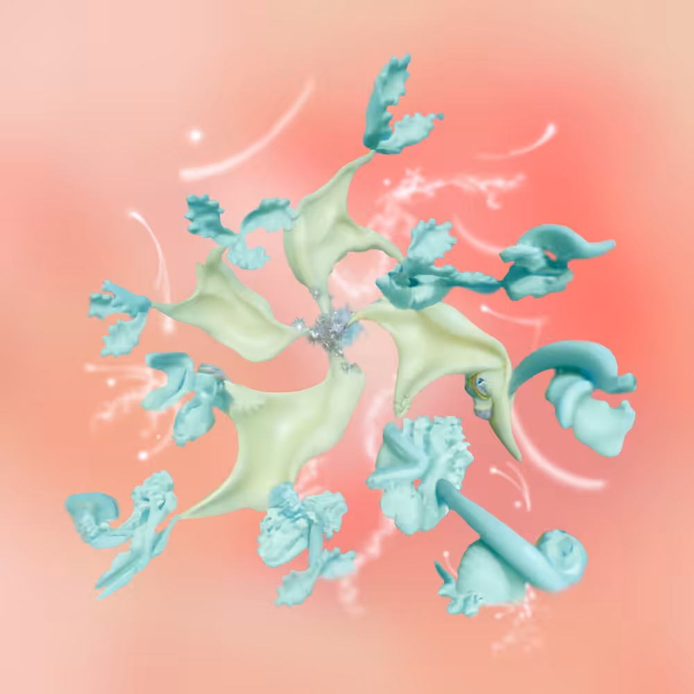 Plantum 6- Lithym