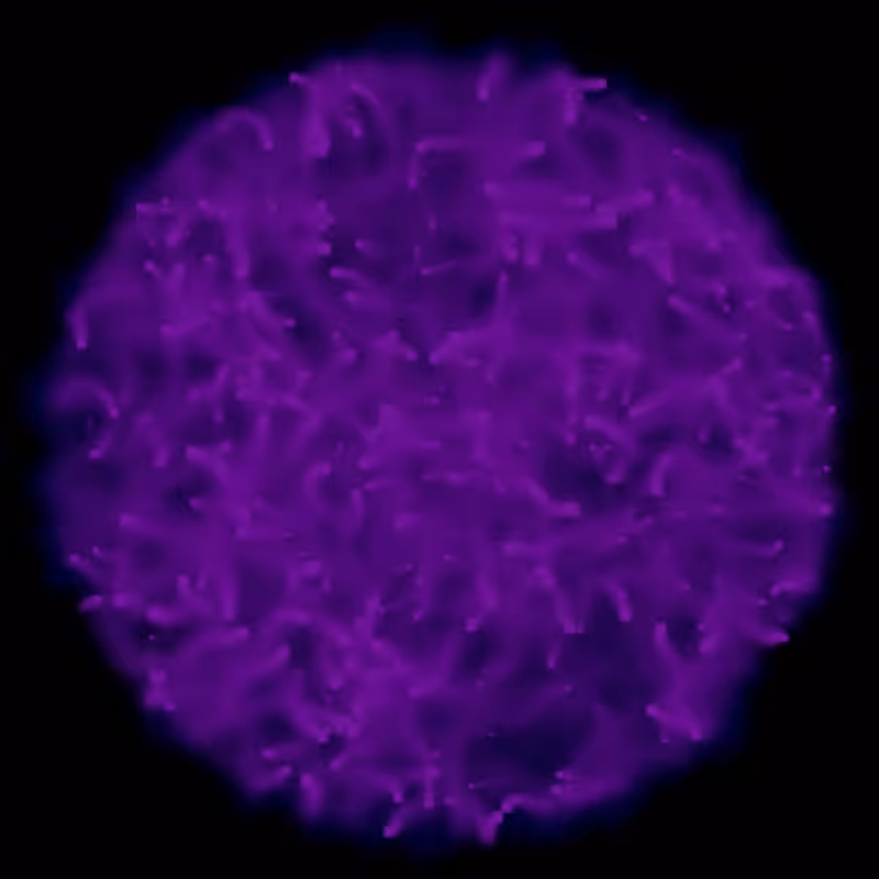 Petri Dish #25