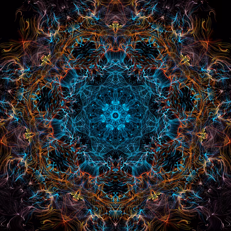 nighttime in the garden #15