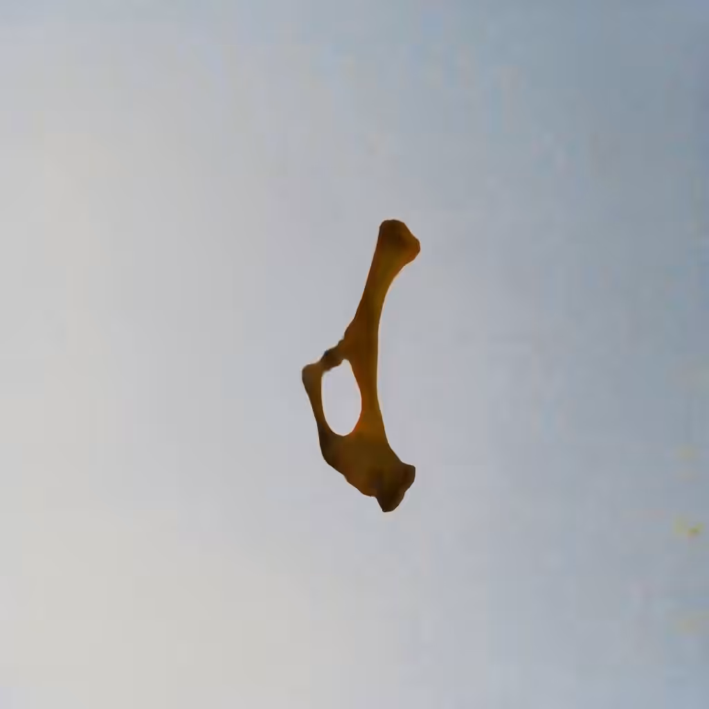Bones In The Sky Marfa No. 11
