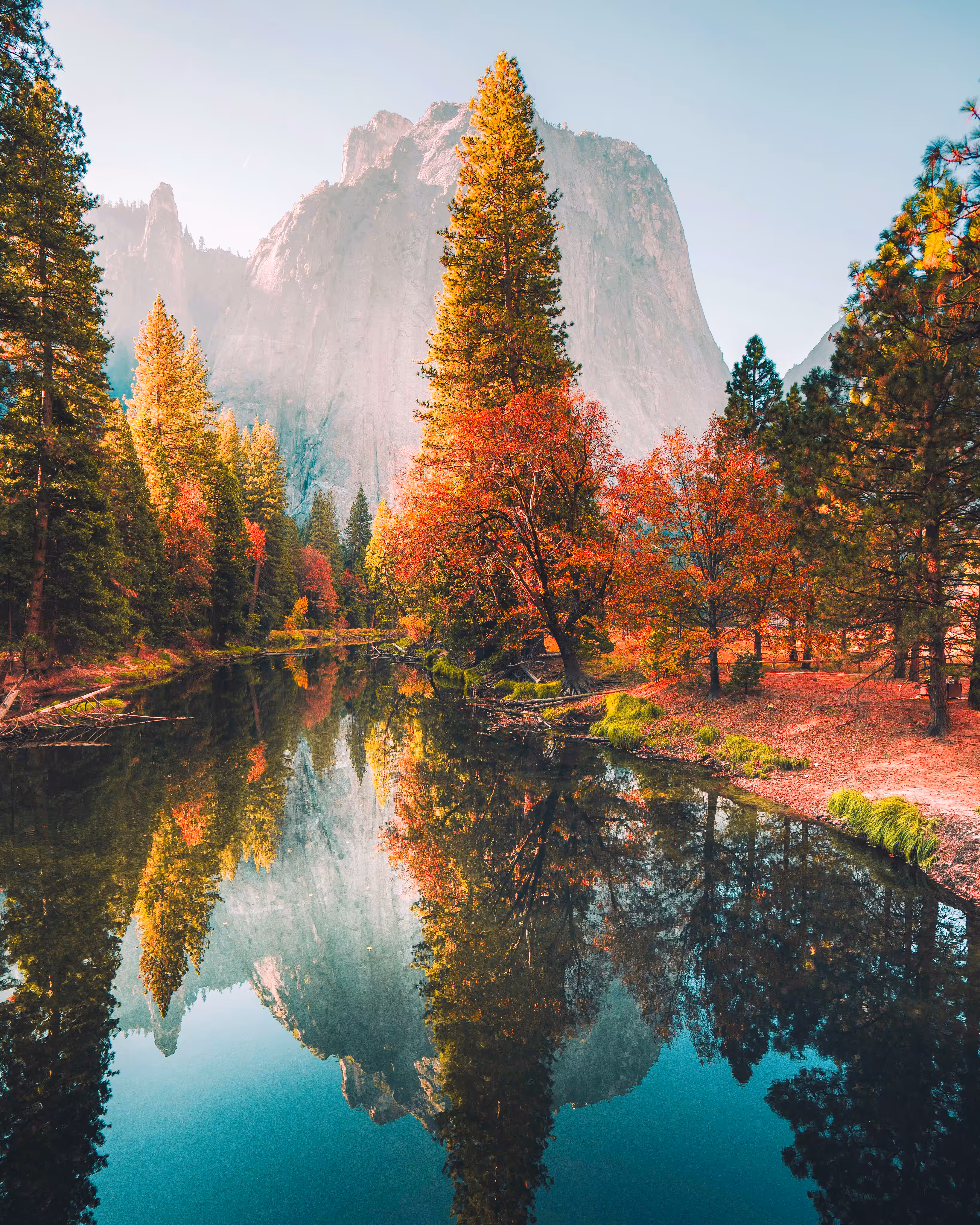 Painted By Nature