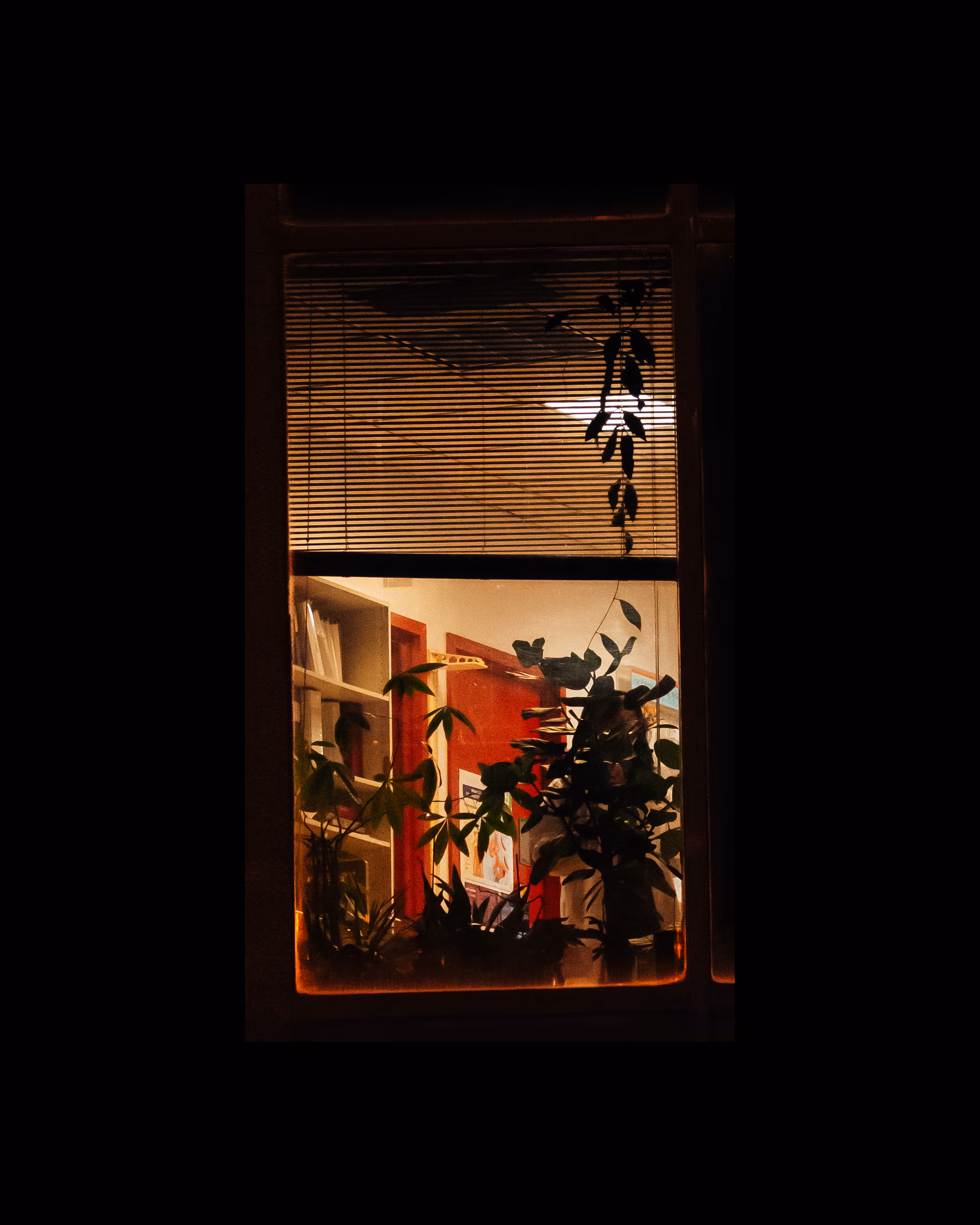 WINDOWS // NYC: WINDOW 499