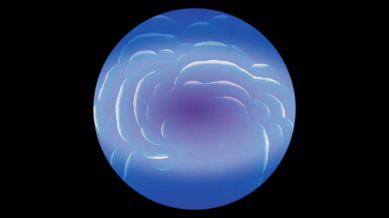 Jellyfish Bloom