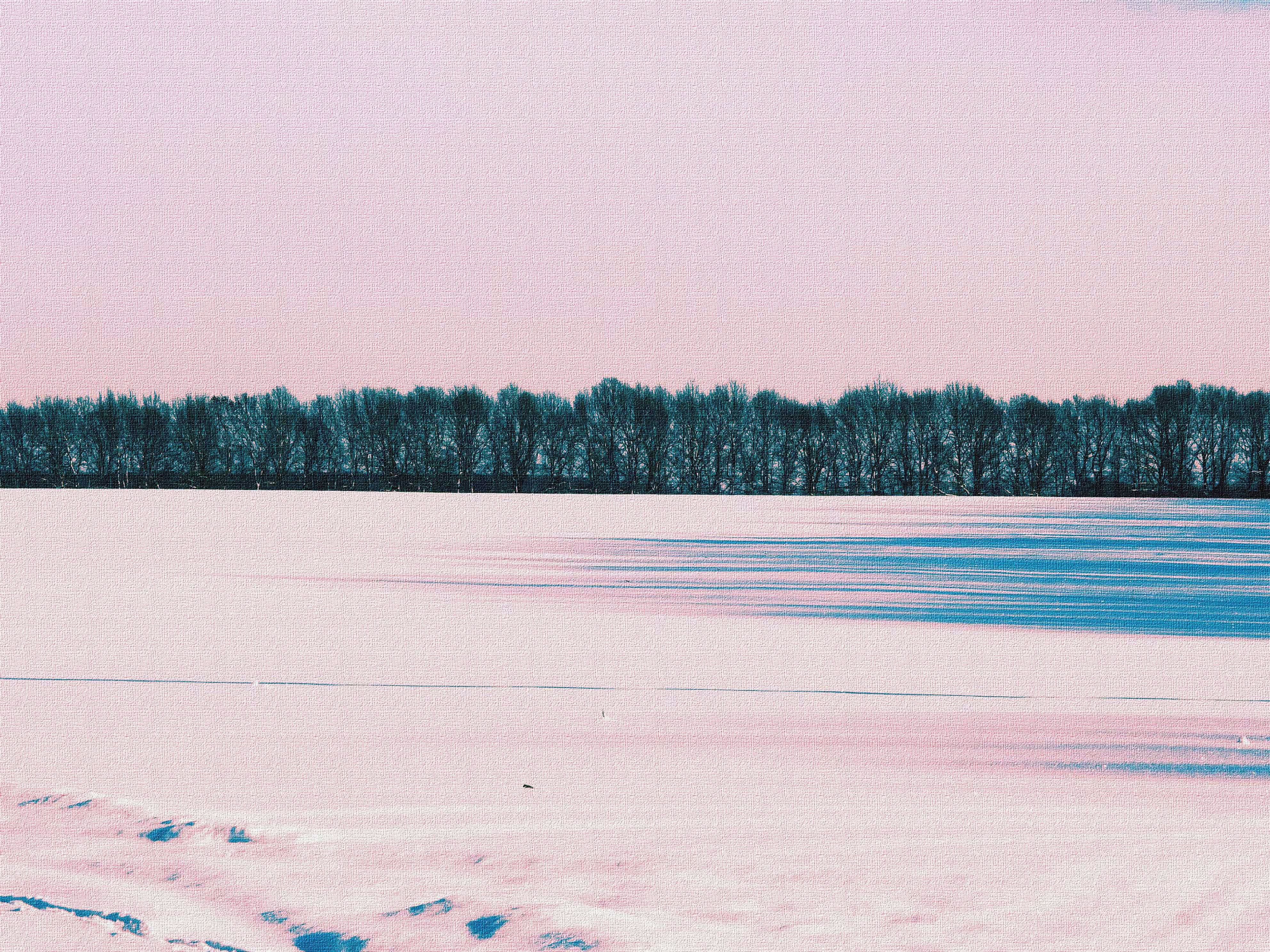 Winter field