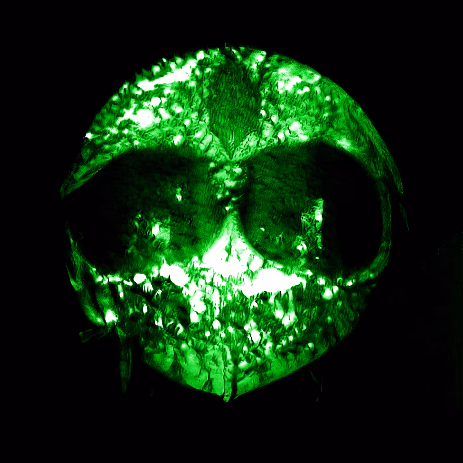 Alien GAN