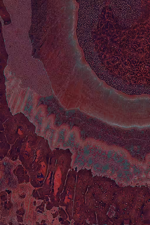 Dactylogram #21