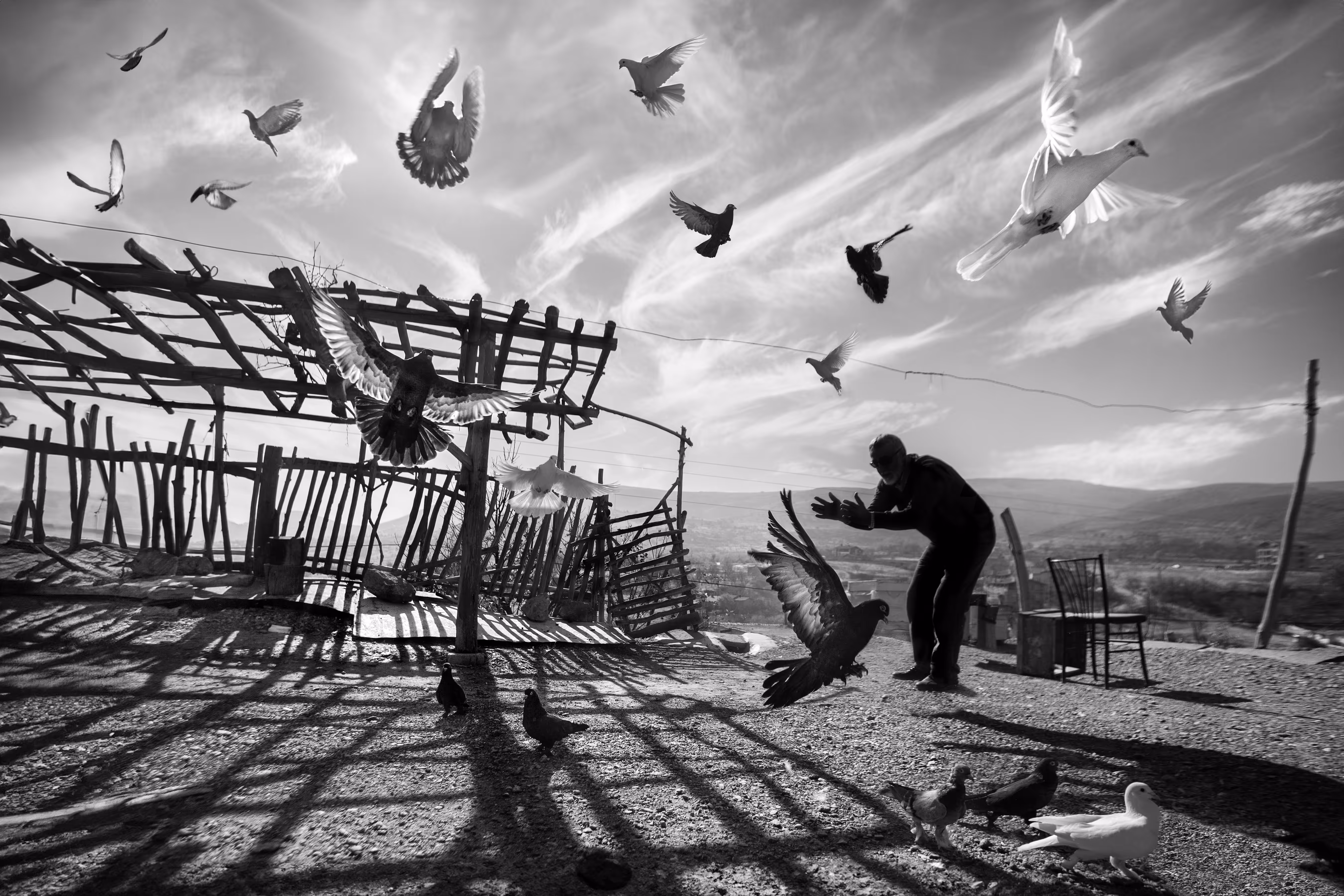Freedom
