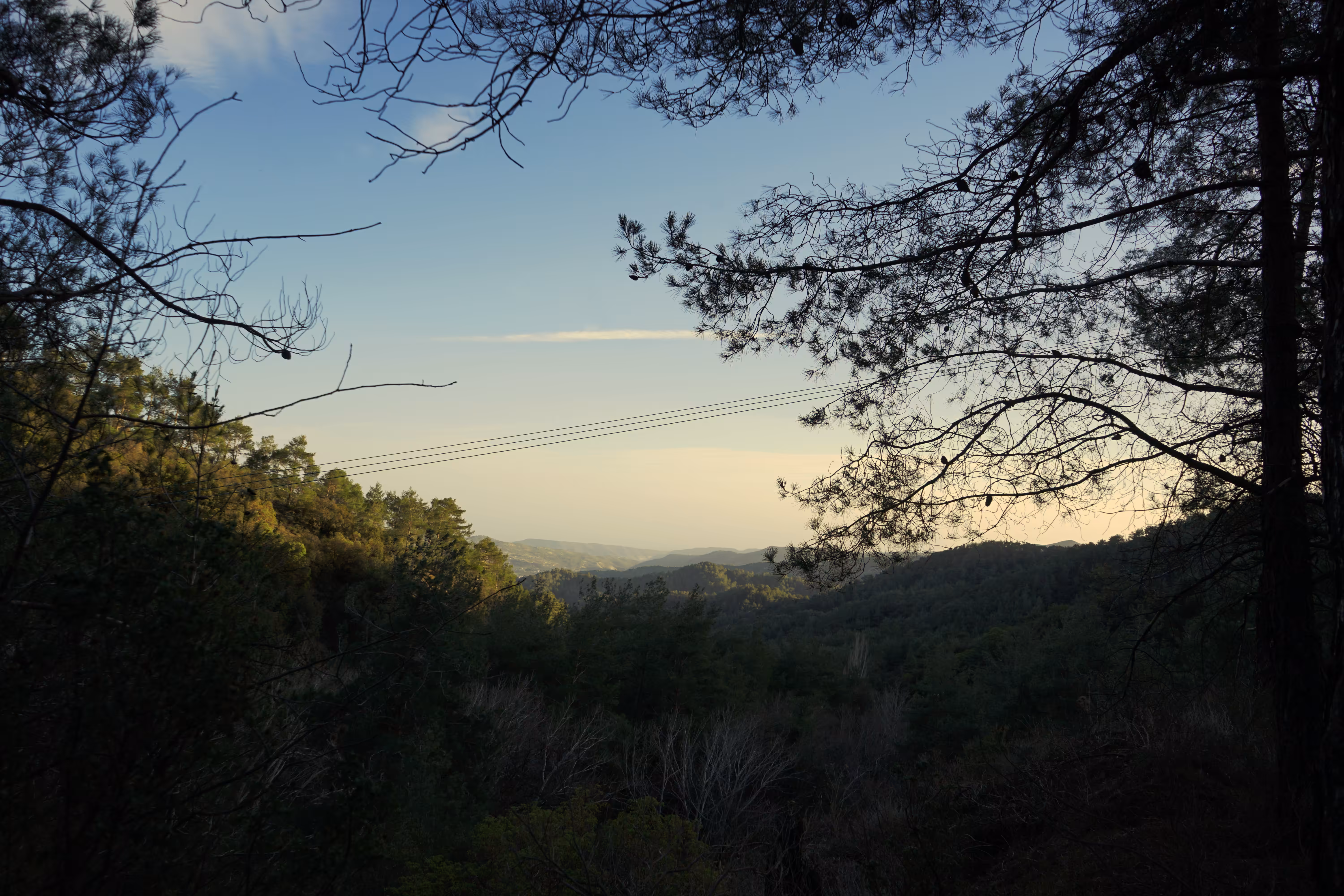 Mountain#1