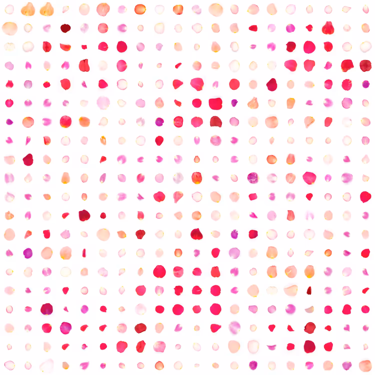 Infinite Petals 20x20#37085