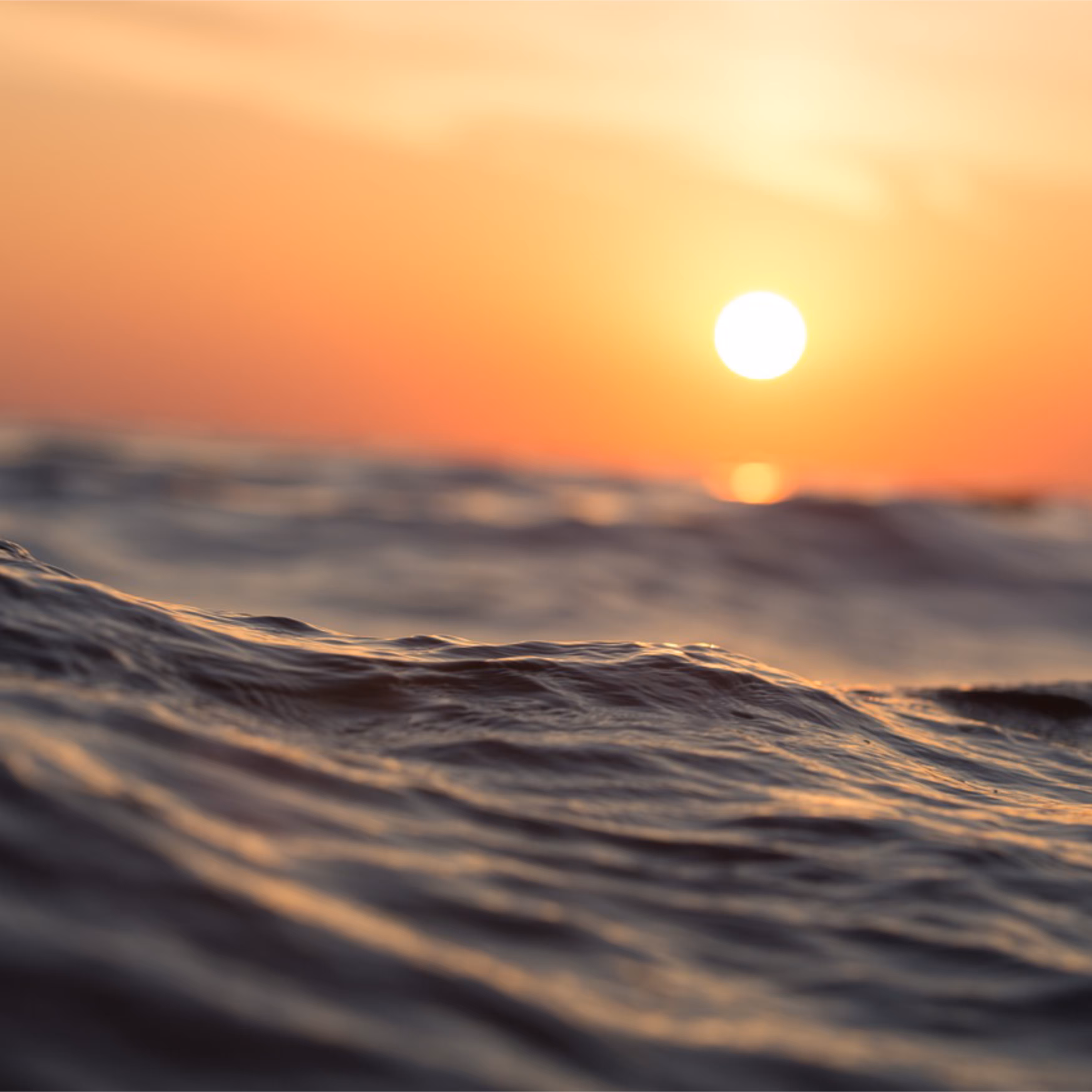 Setting Sun