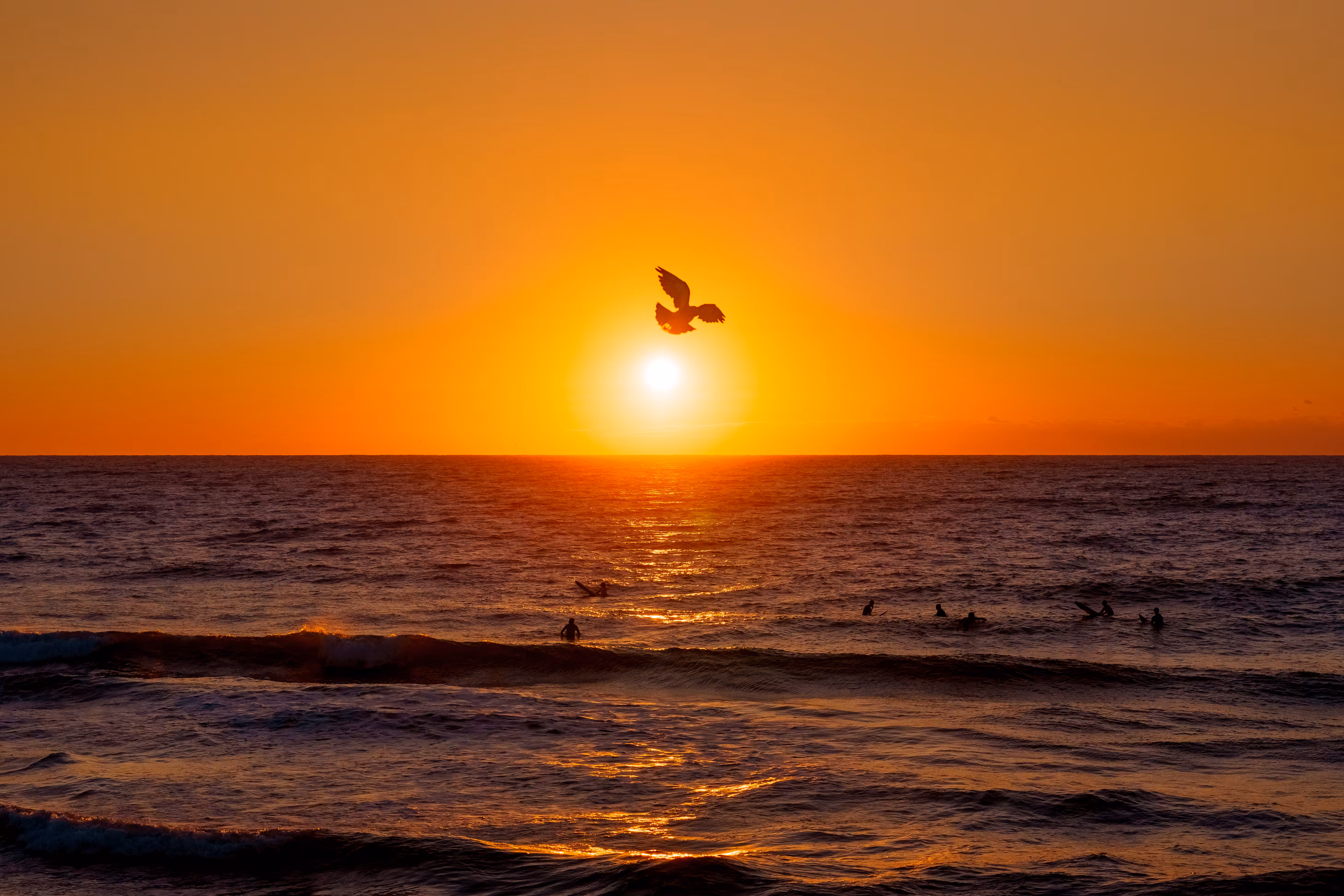 take flight