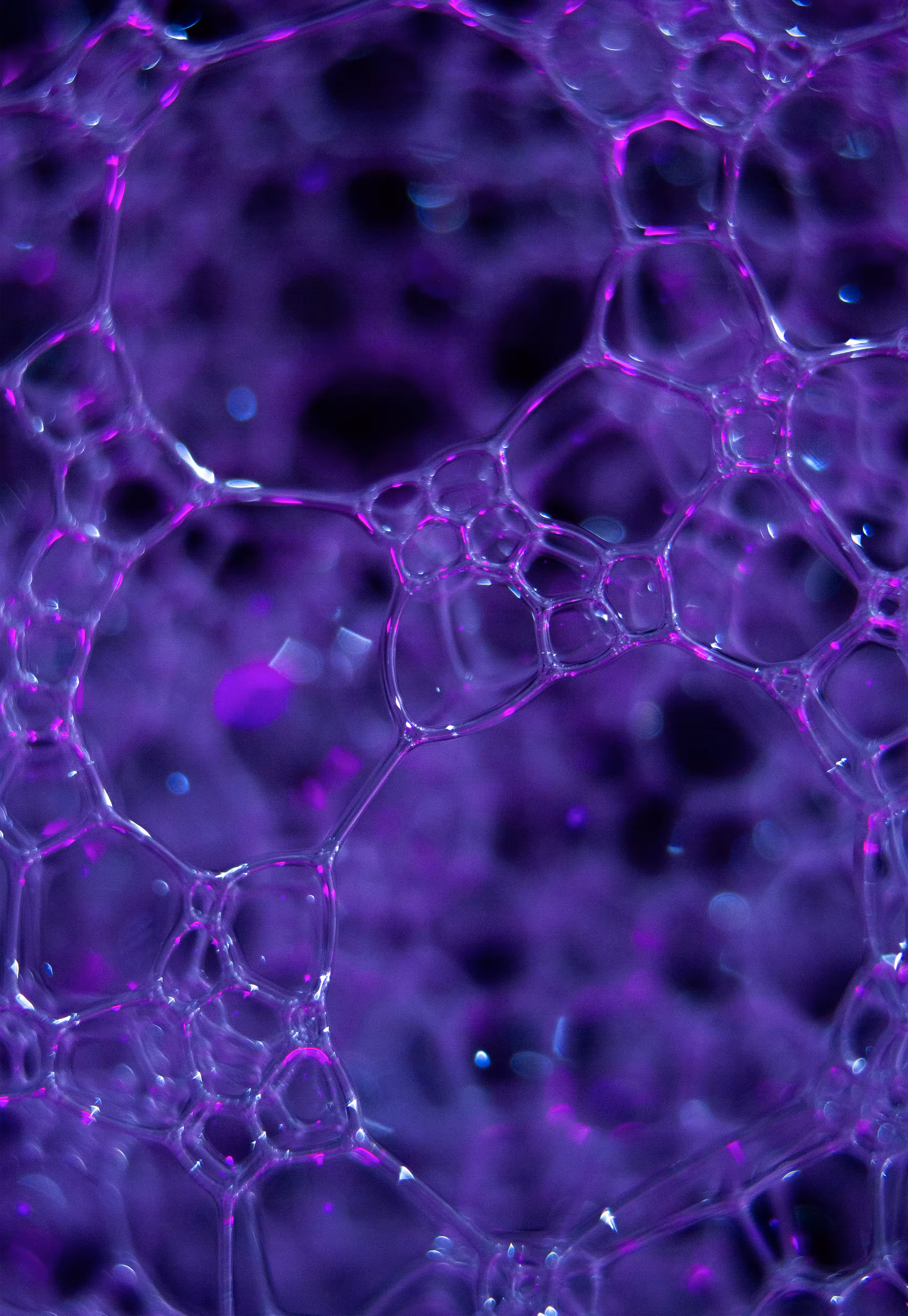Abstract World of Soap Bubbles: #81 Bubbles