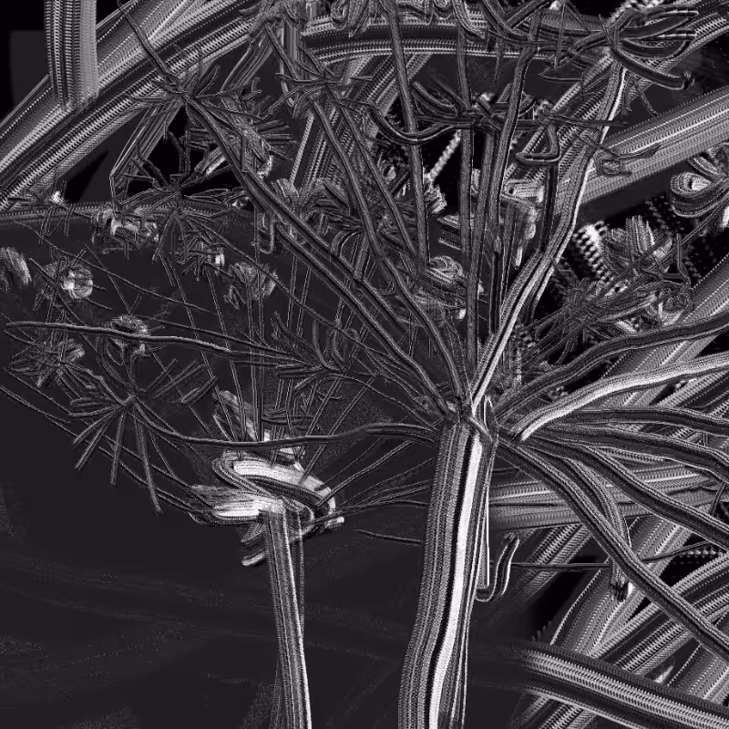 Dry grass #12