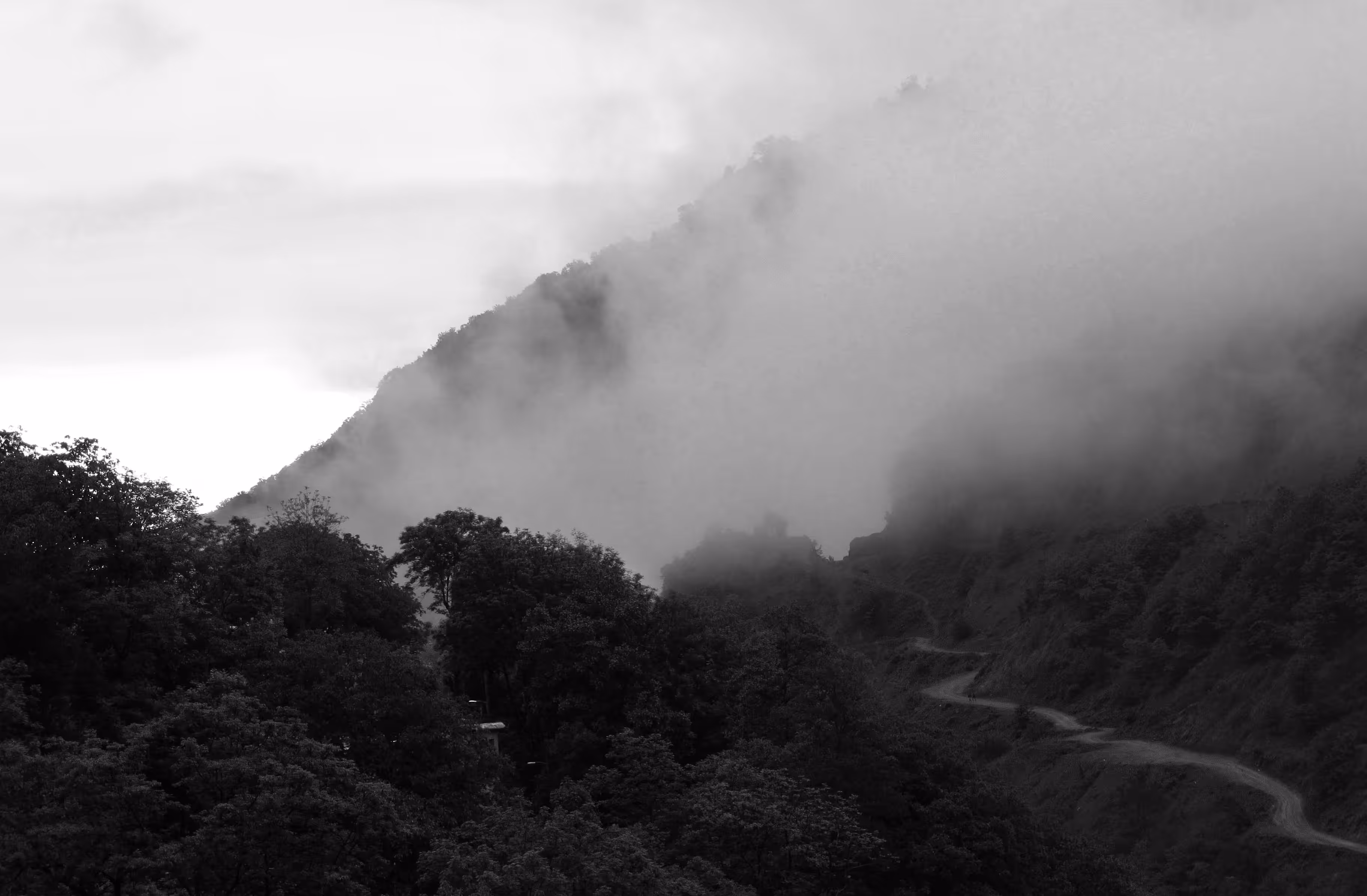 A road in the fog