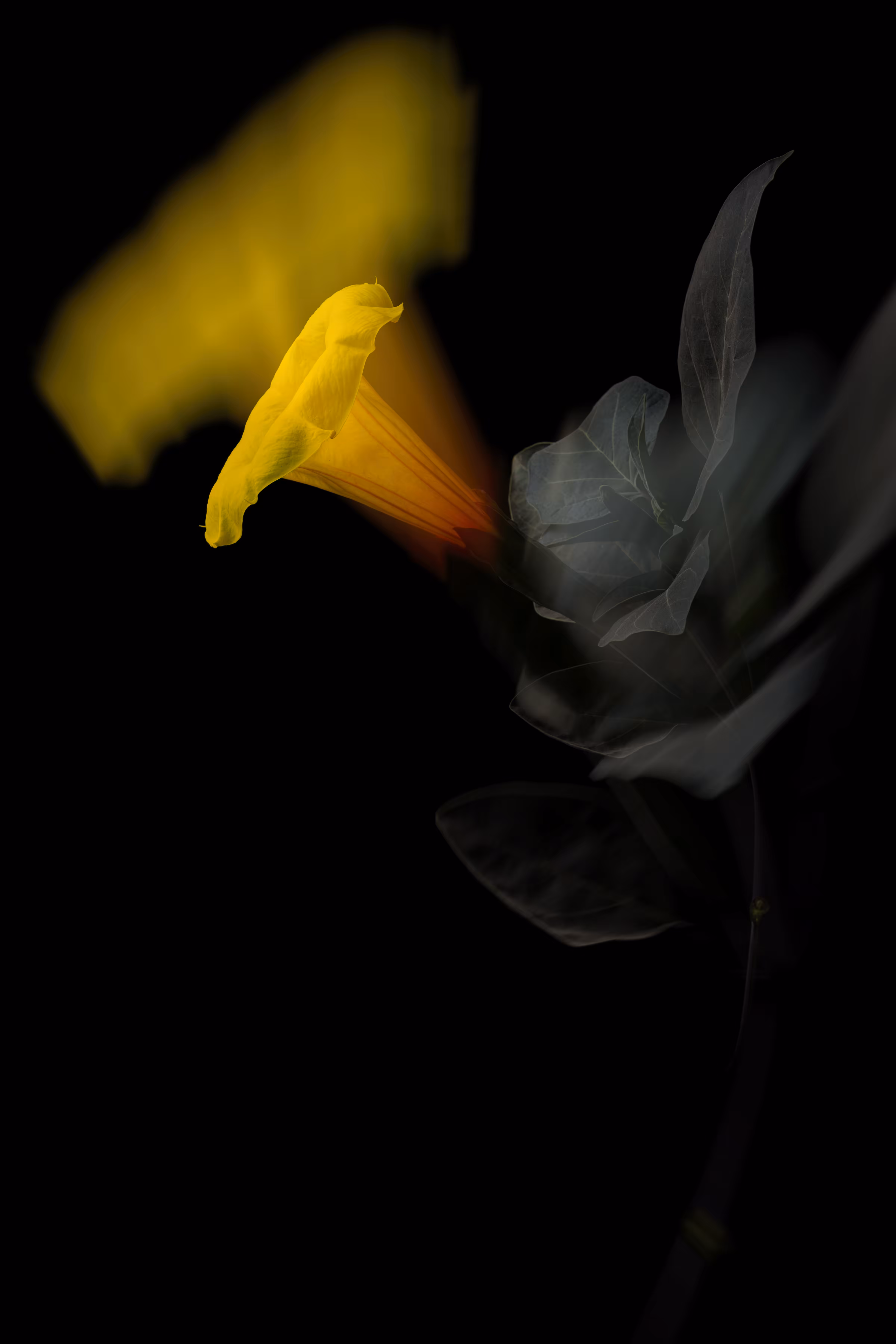 When the soul is separated