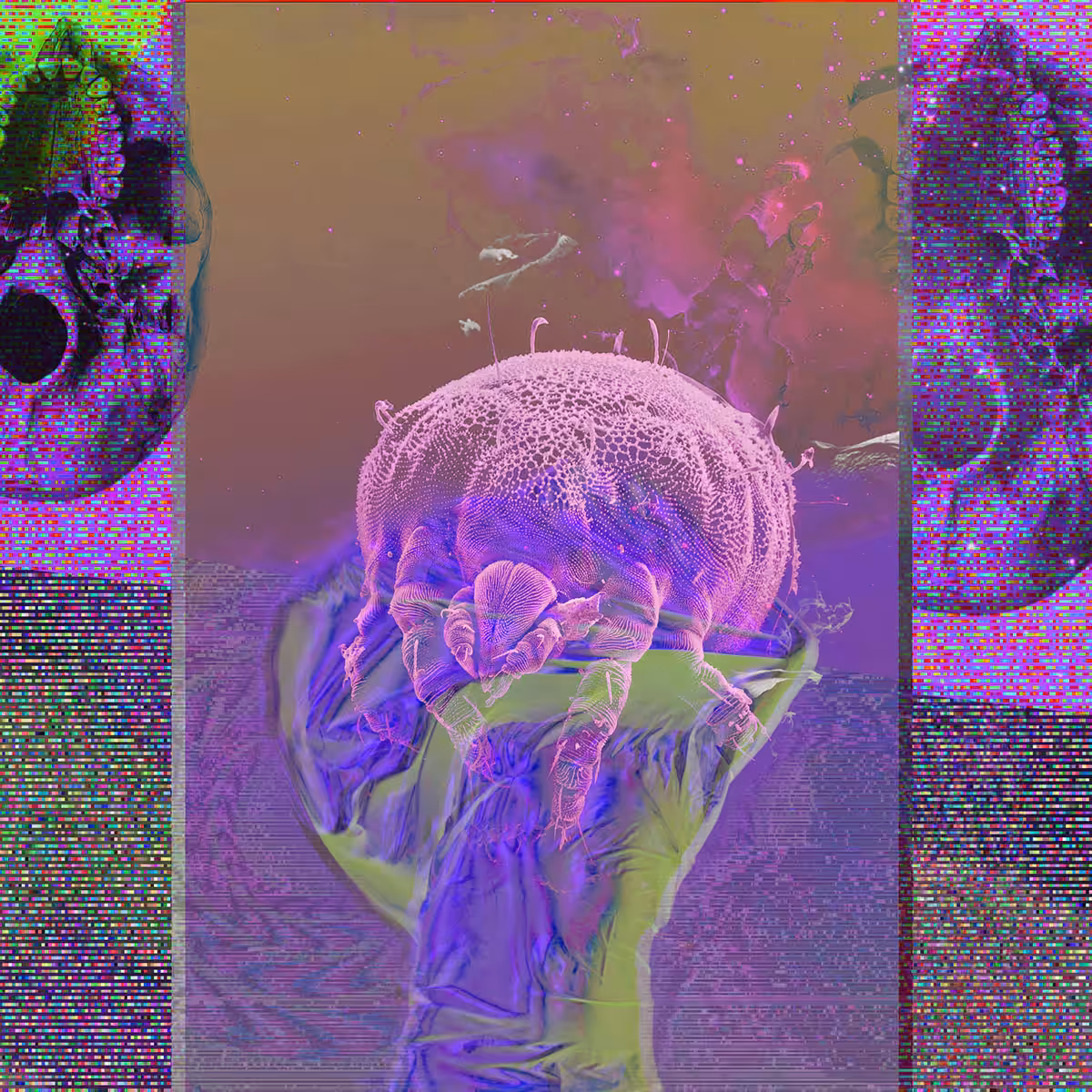 Mite