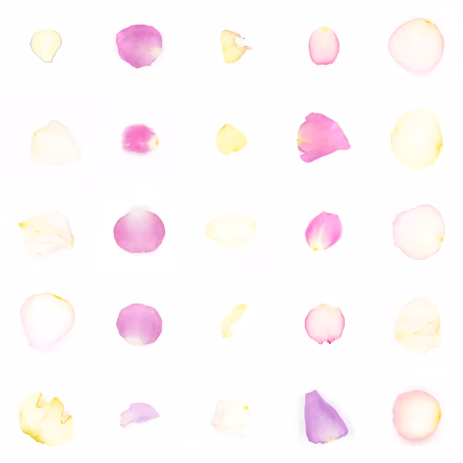 Infinite Petals 5x5#20884