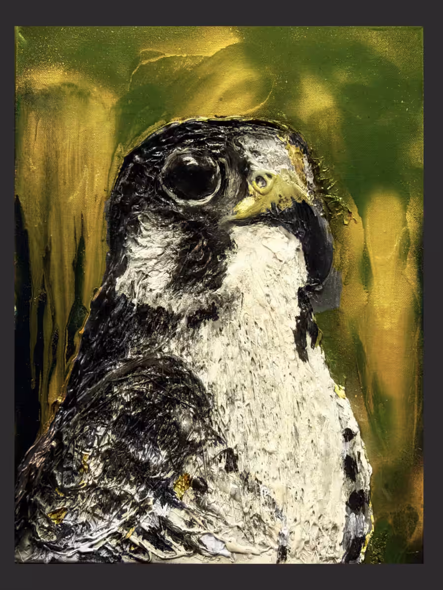 Figurative: Falcon