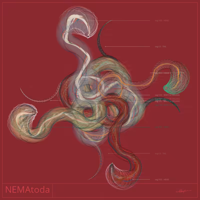 NEMA #80