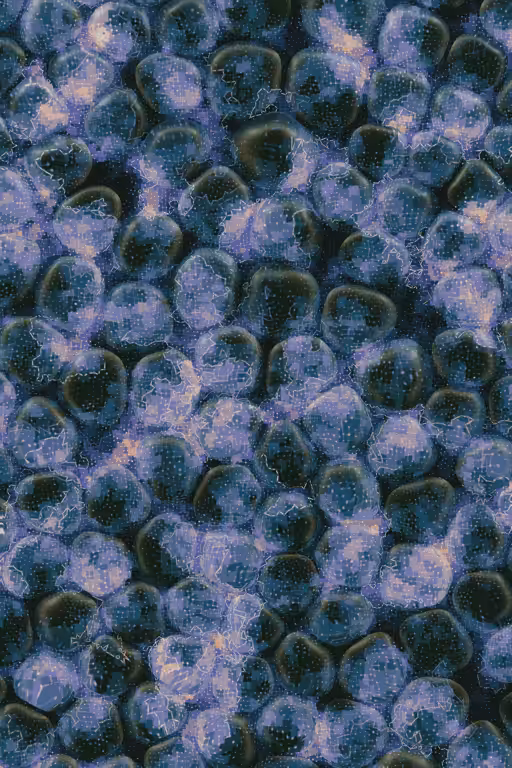 Vitreous #11
