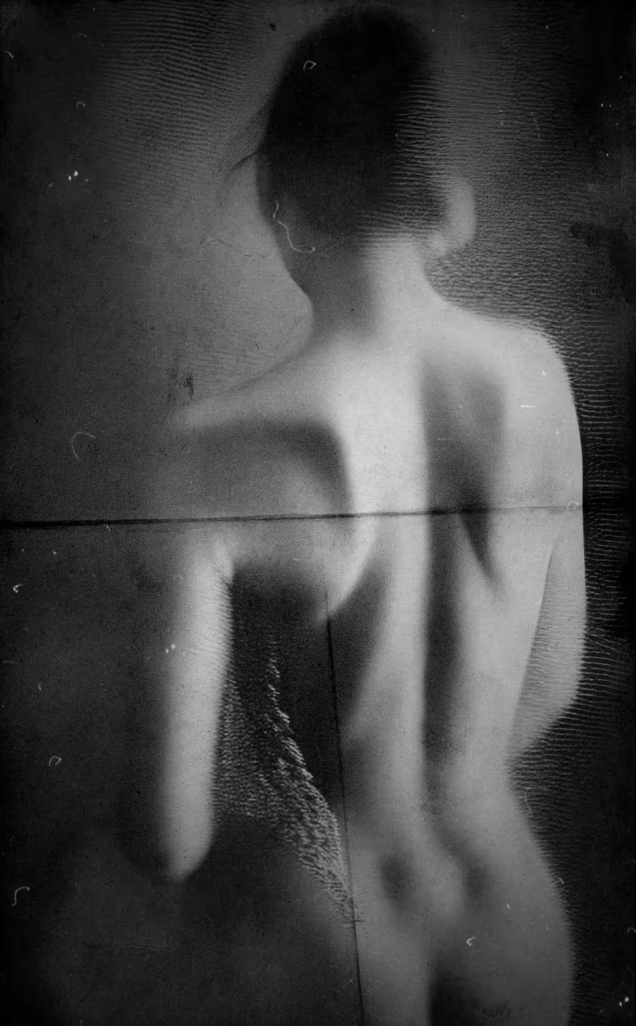 Butterfly #73